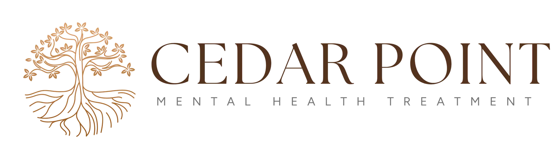 CPMHT (1400 x 400 px) (1)