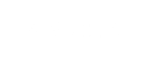 Blue Cross Blue Shield insurance logo